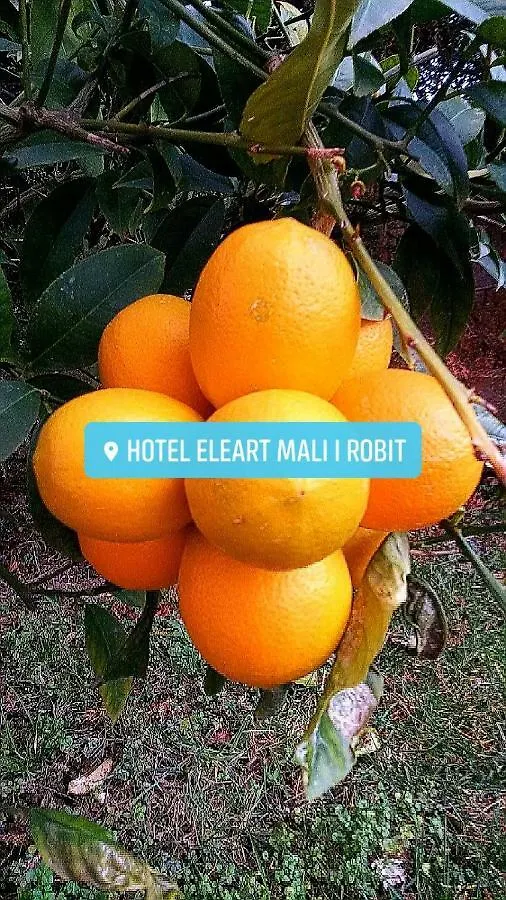 Eleart Aparthotel Golem  Golem (Tirana)